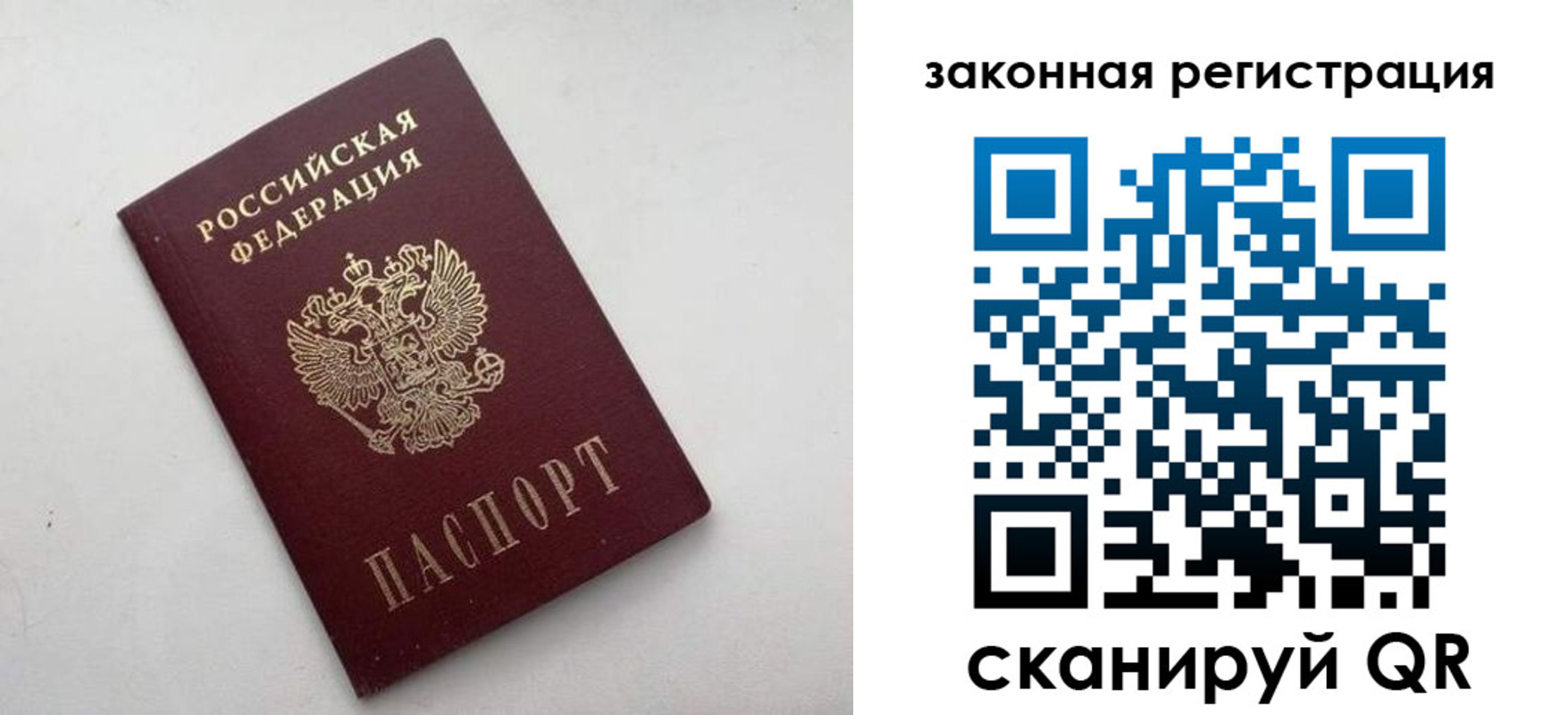 прописка 2025 в Сольцах